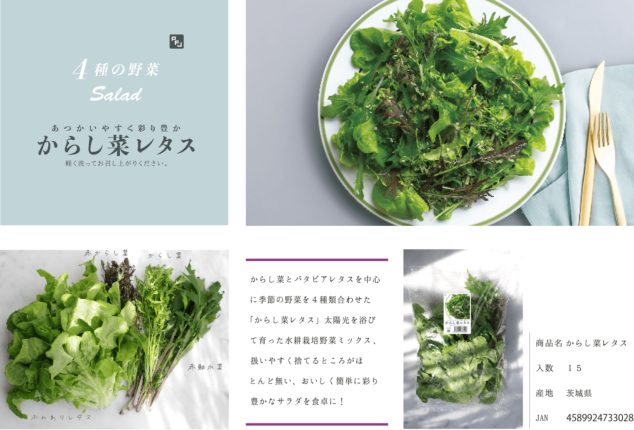 からし菜レタスプレゼン資料