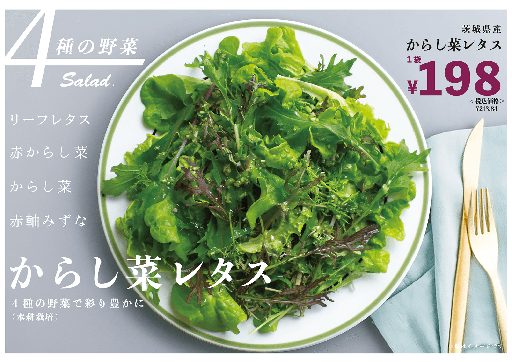 からし菜レタスポップ