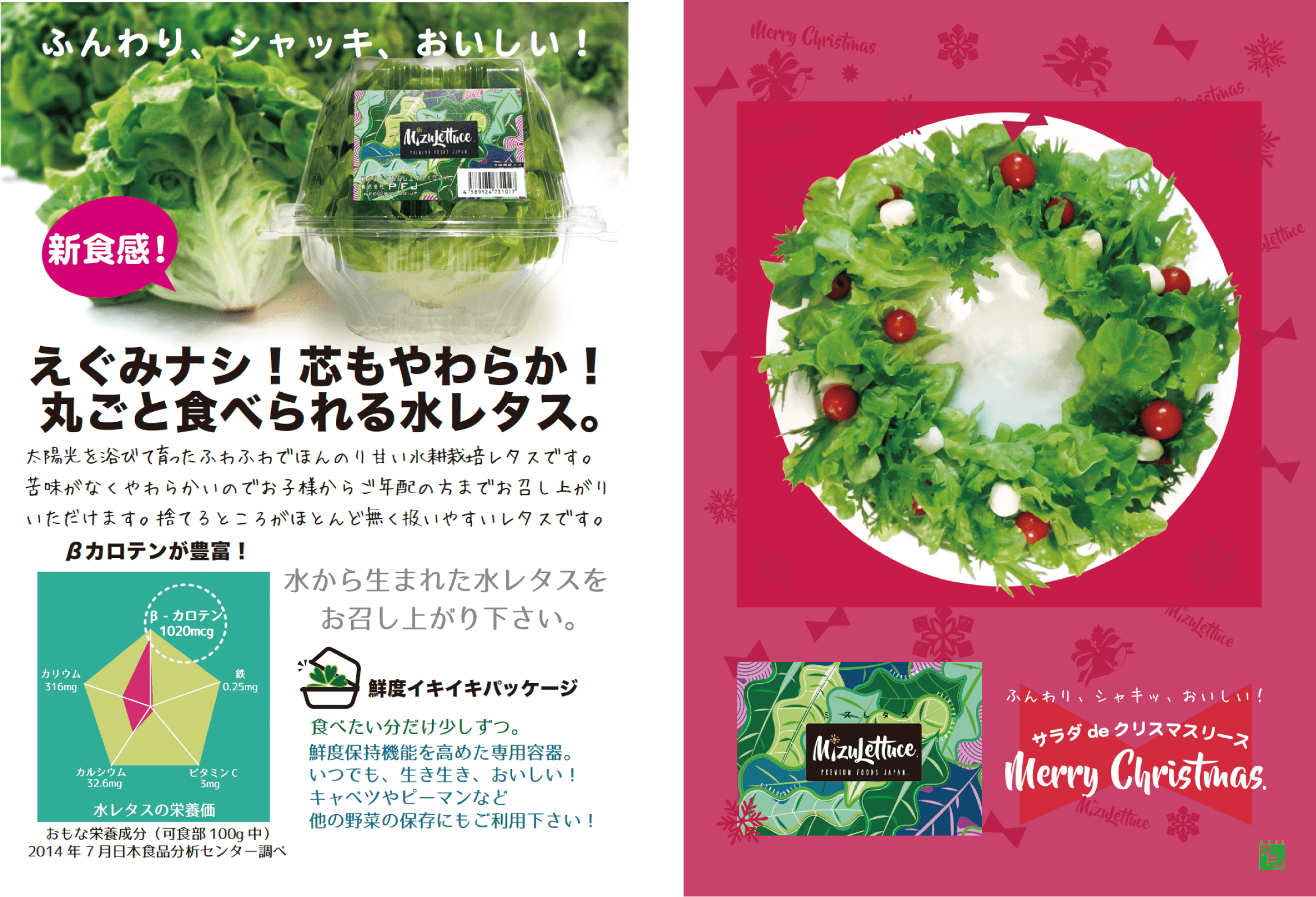 水レタスポップ