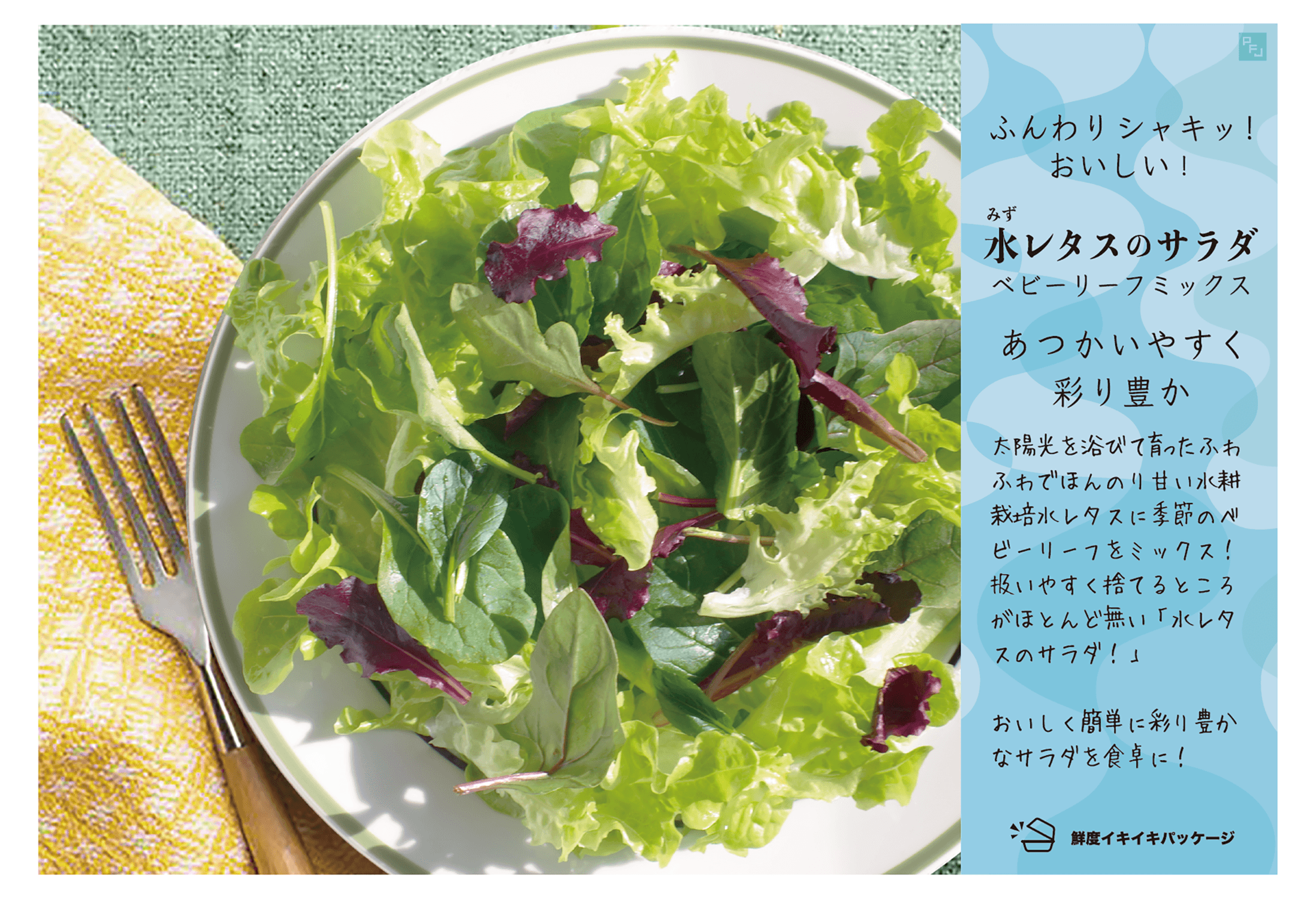 水レタスのサラダポップ