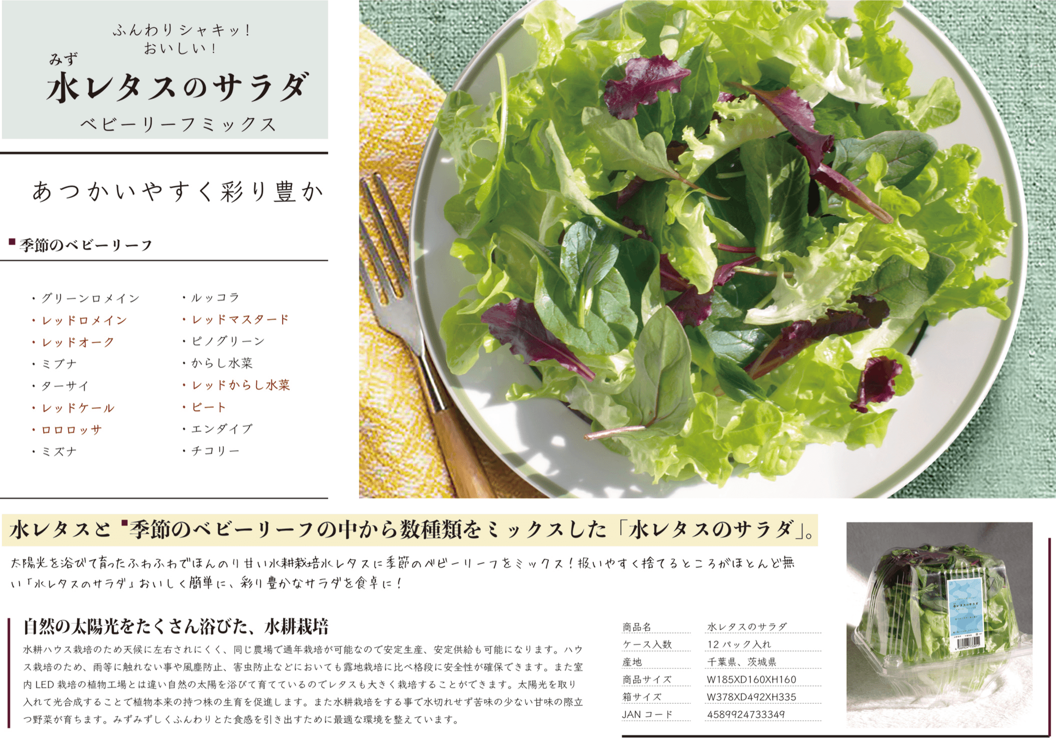 水レタスのサラダプレゼン資料