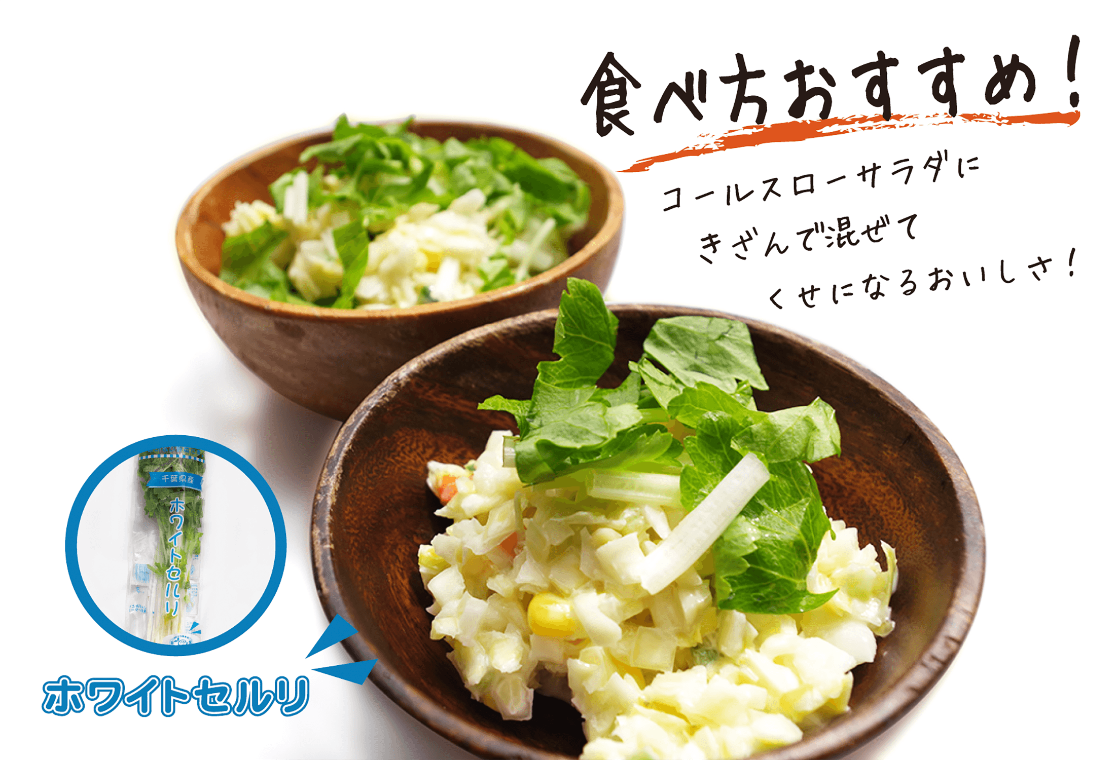 ホワイトセルリ販促